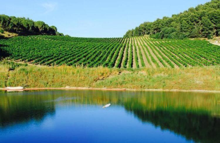 Tenute Pispisa Segesta Alloggio per agriturismo *