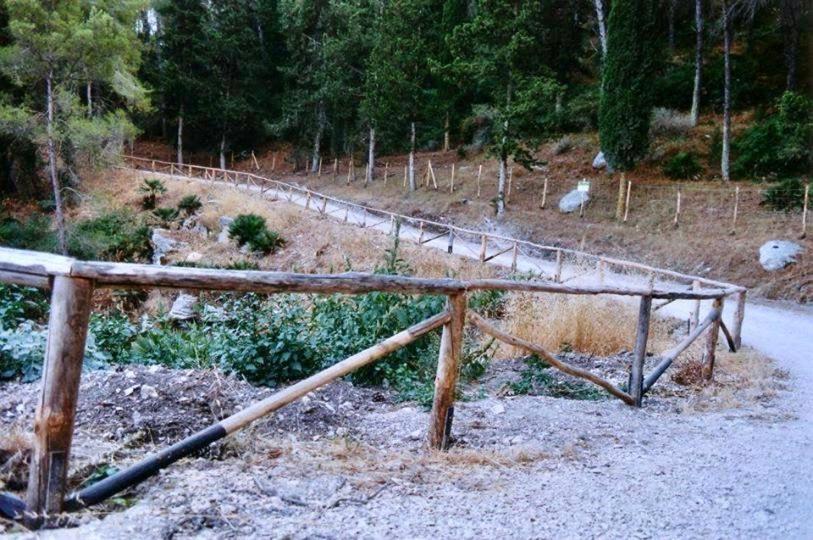 Alloggio per agriturismo Tenute Pispisa Segesta Calatafimi