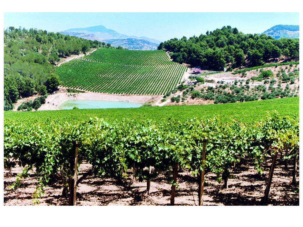 Alloggio per agriturismo Tenute Pispisa Segesta *