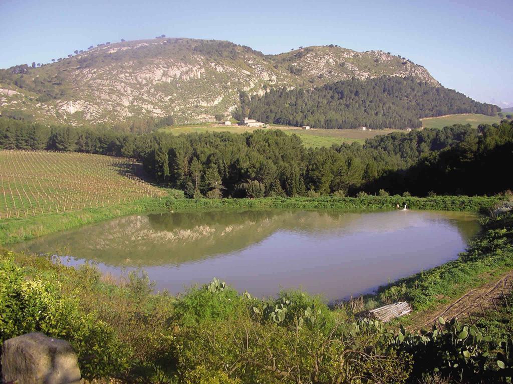 Tenute Pispisa Segesta Calatafimi