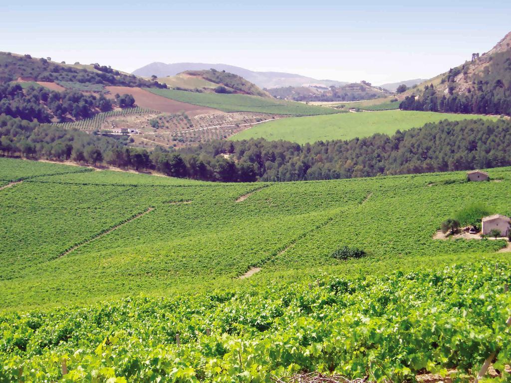 Tenute Pispisa Segesta Alloggio per agriturismo