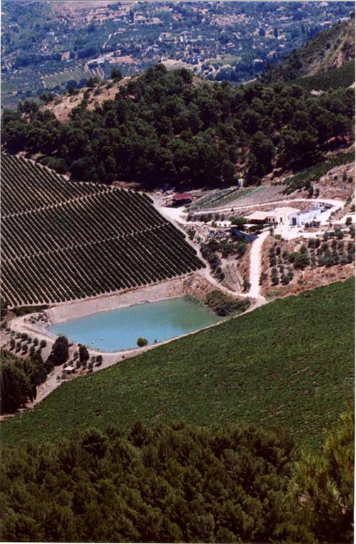 Tenute Pispisa Segesta Calatafimi
