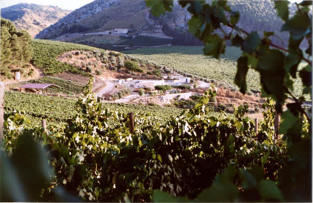 Tenute Pispisa Segesta * Calatafimi