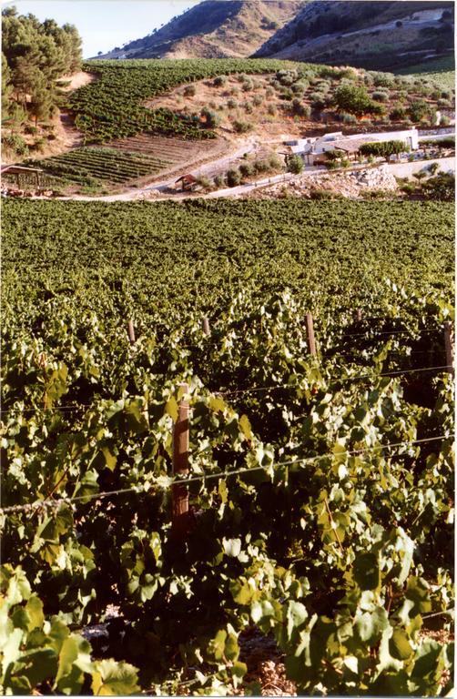 Alloggio per agriturismo Tenute Pispisa Segesta Calatafimi