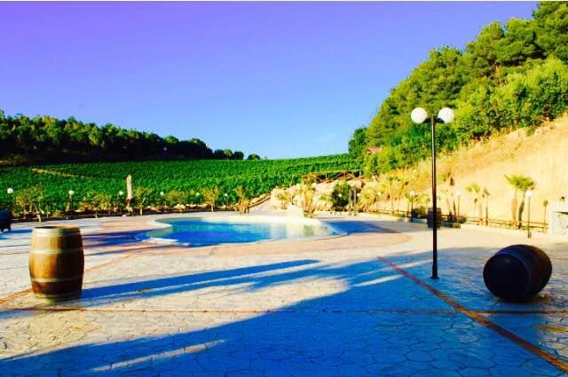 Alloggio per agriturismo Tenute Pispisa Segesta *