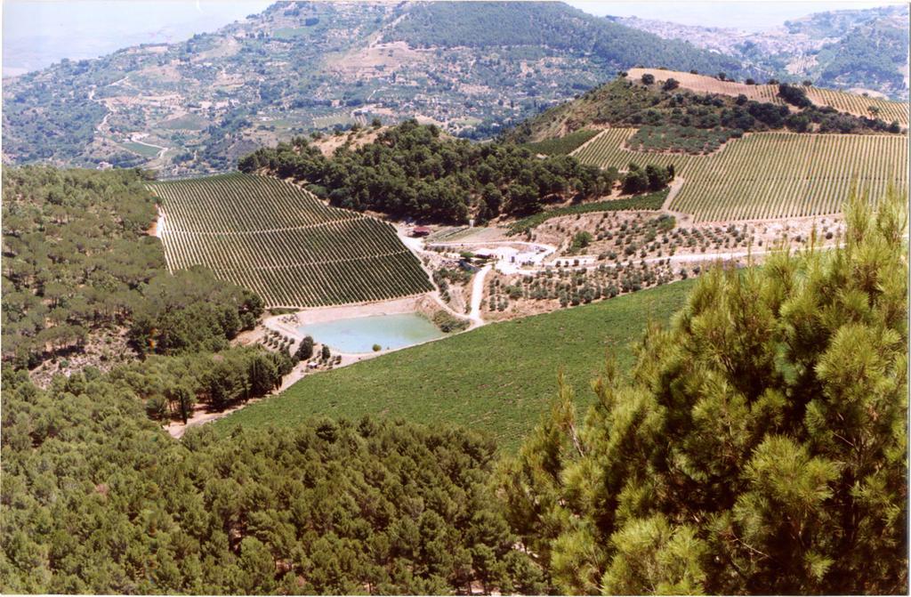 Bauernhof Tenute Pispisa Segesta *