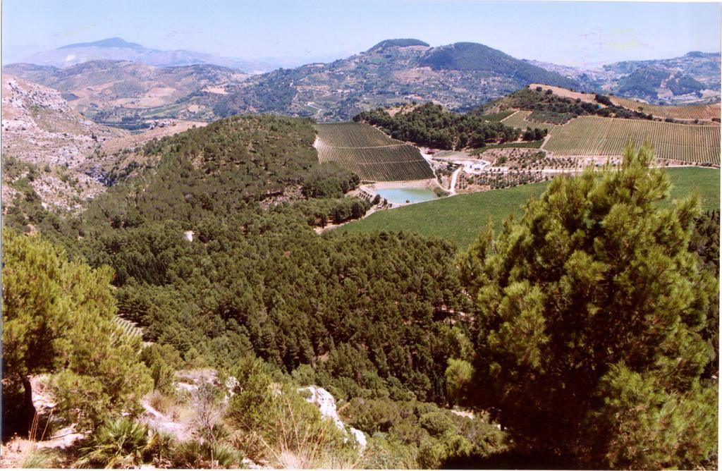Tenute Pispisa Segesta Calatafimi